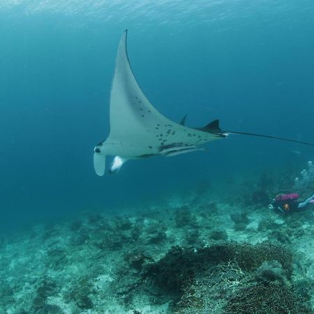 Coriana Dive Resort Waisai Zewnętrze zdjęcie